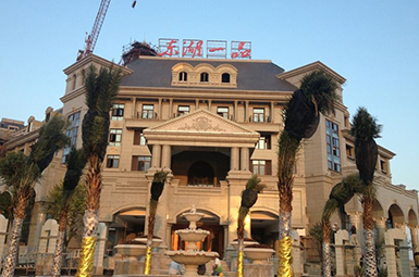 宁德东湖一品黄蝴蝶